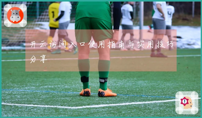 开云访问入口使用指南与实用技巧分享